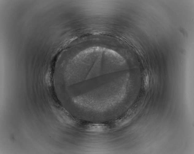 X0000111190316200908121053