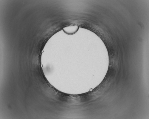 X0000111190317200908121053