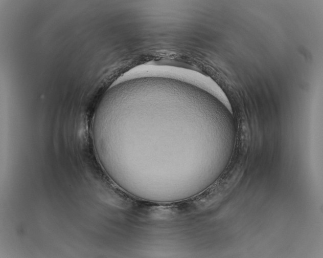 X0000111190320200908121053