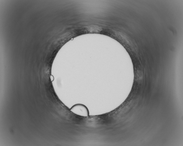 X0000111190321200908121053