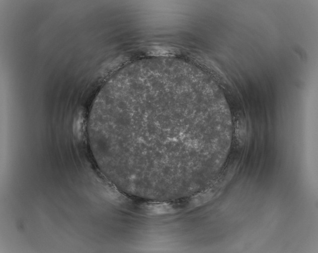 X0000111190322200908121053