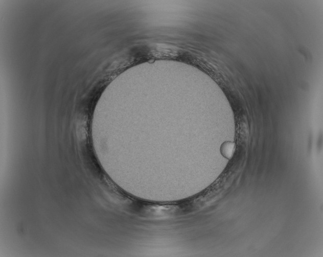 X0000111190323200908121053