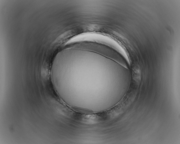 X0000111190324200908121053
