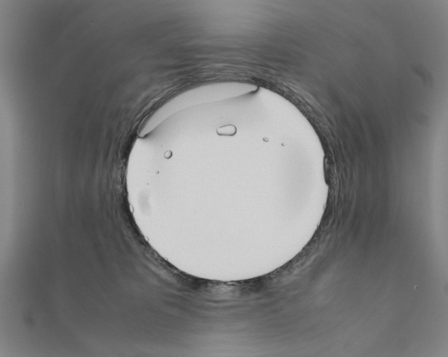 X0000111190325200908121053