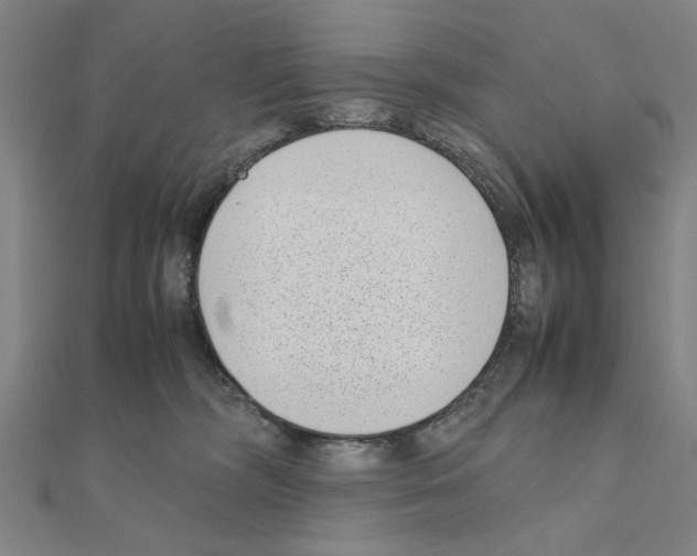 X0000111190326200908121053