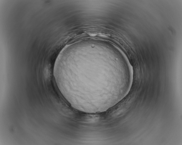 X0000111190328200908121053