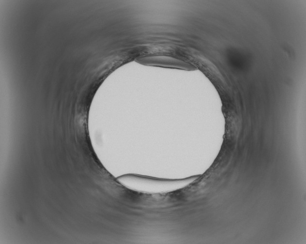 X0000111190329200908121053
