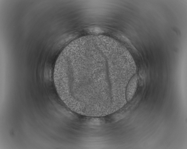 X0000111190330200908121053