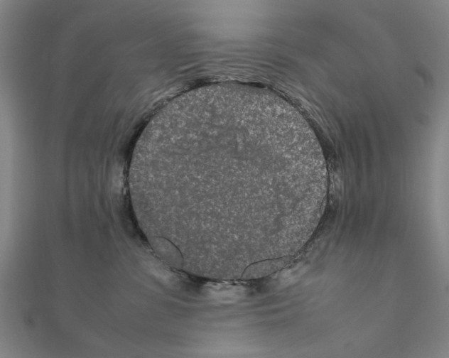 X0000111190331200908121053