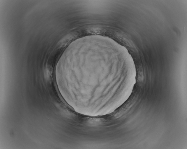 X0000111190332200908121053