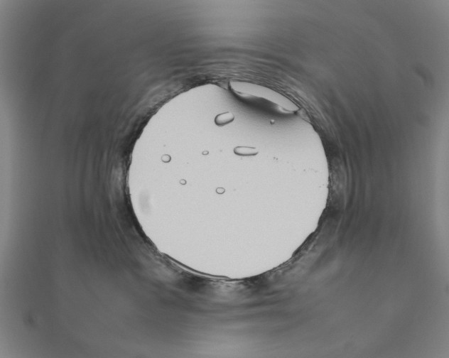 X0000111190333200908121053