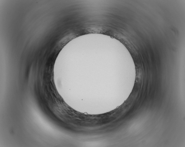 X0000111190334200908121053