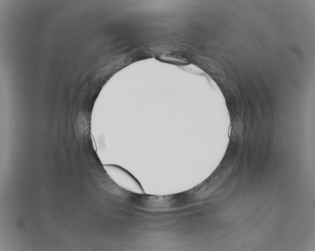 X0000111190335200908121053