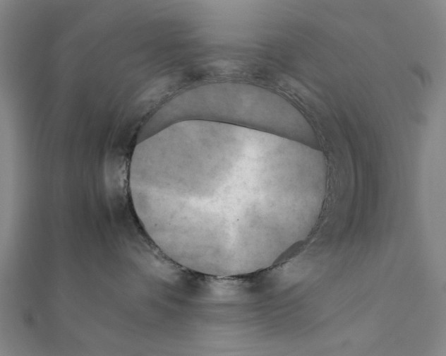 X0000111190336200908121053
