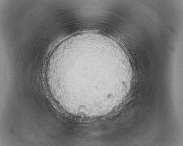 X0000111190337200908121052