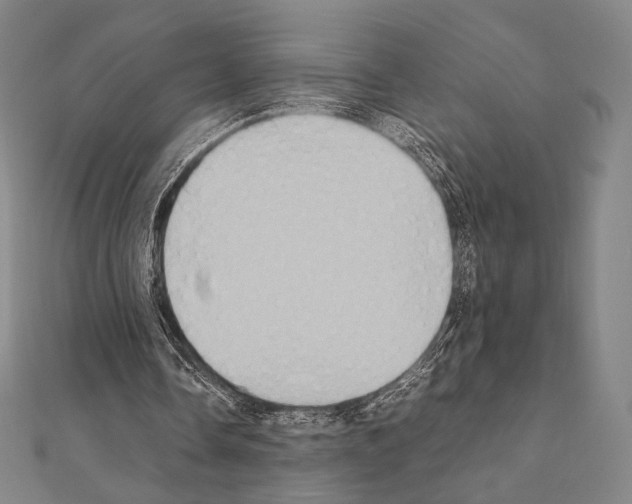 X0000111190338200908121052