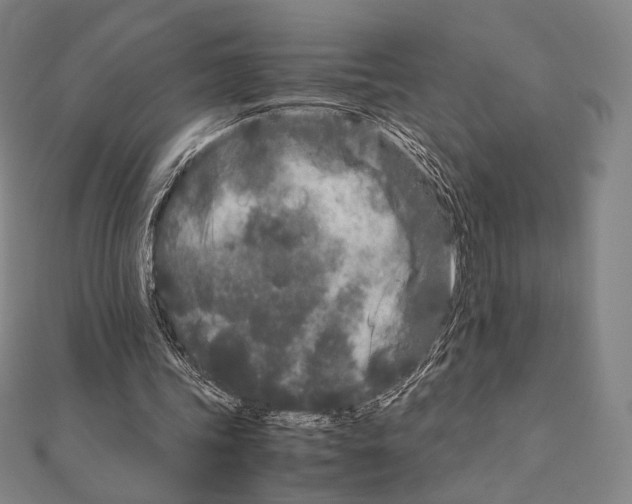 X0000111190339200908121052