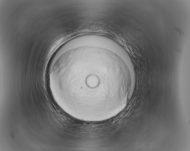 X0000111190340200908121052