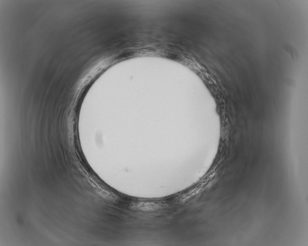X0000111190341200908121052