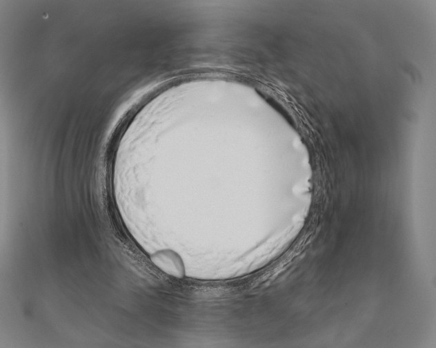 X0000111190342200908121052