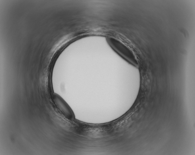 X0000111190344200908121052