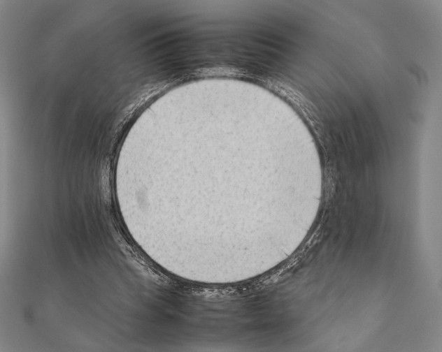 X0000111190345200908121052
