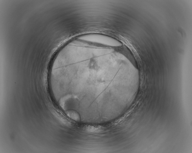 X0000111190346200908121052
