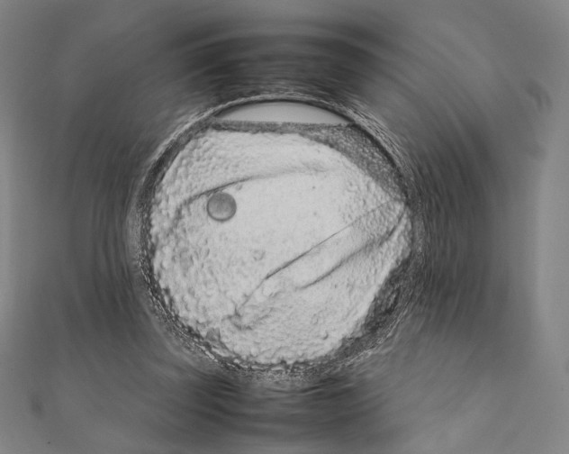 X0000111190347200908121052