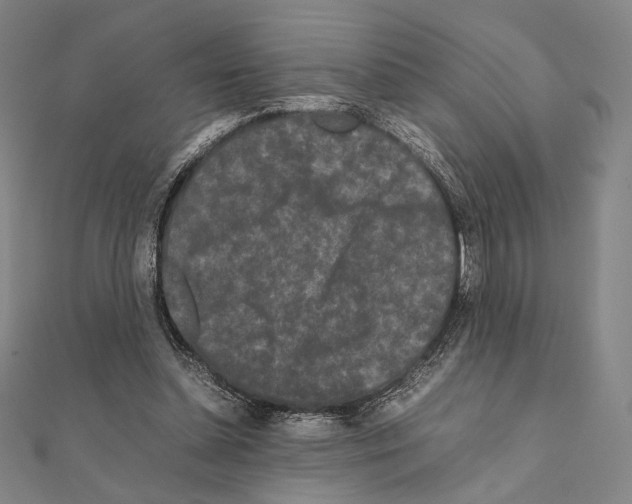 X0000111190348200908121053
