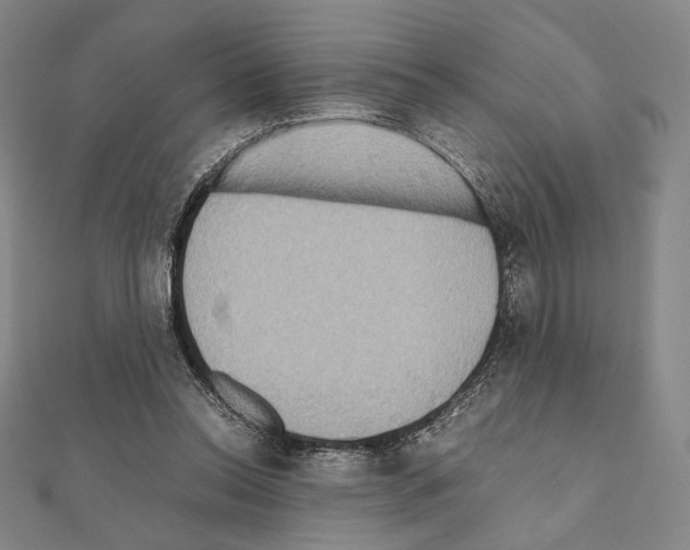 X0000111190350200908121053