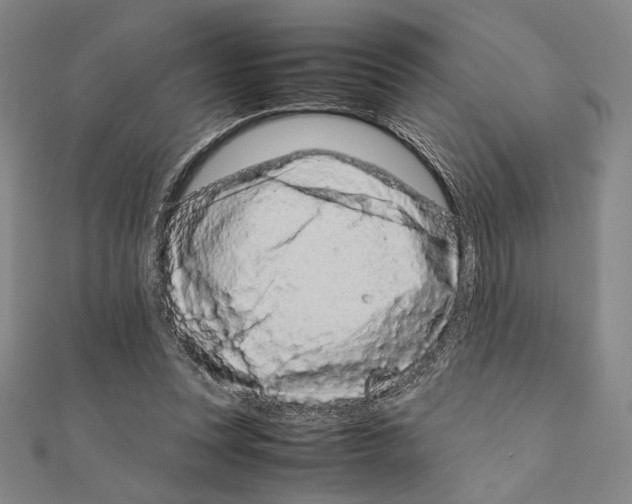 X0000111190351200908121053