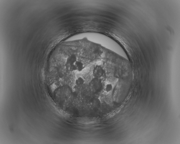 X0000111190353200908121053