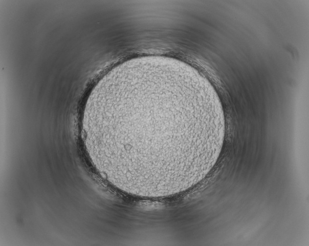X0000111190354200908121053