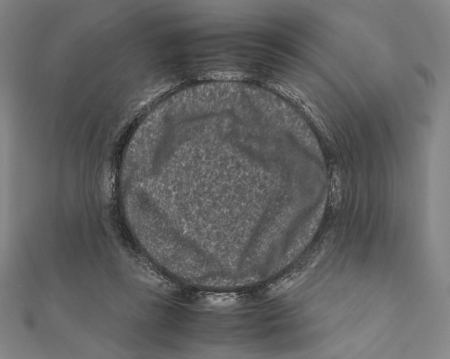 X0000111190355200908121053