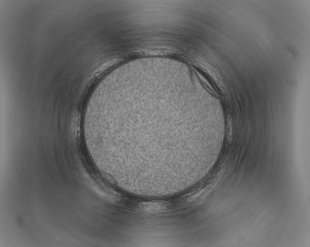 X0000111190356200908121053