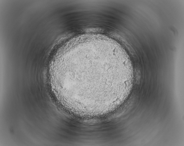 X0000111190357200908121053