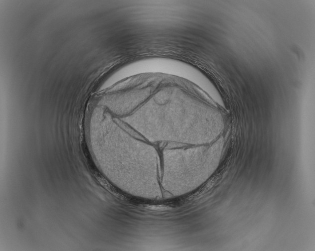 X0000111190360200908121053