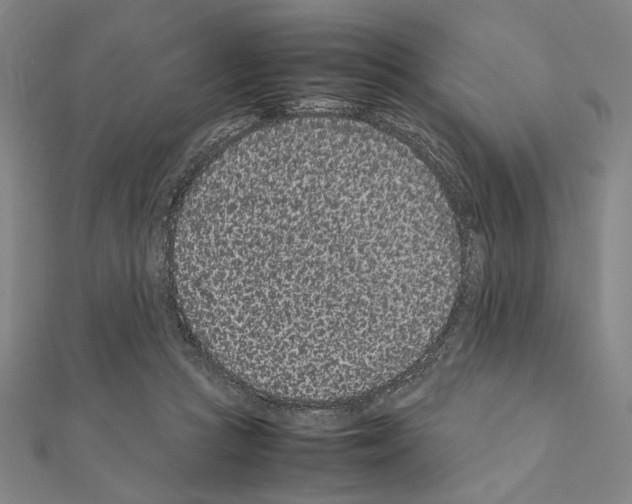 X0000111190361200908121053