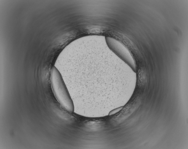 X0000111190364200908121053