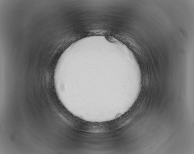 X0000111190365200908121053