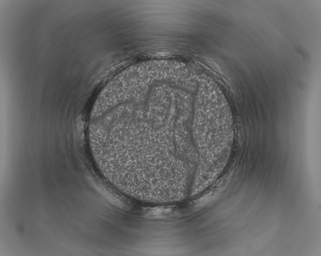X0000111190366200908121053