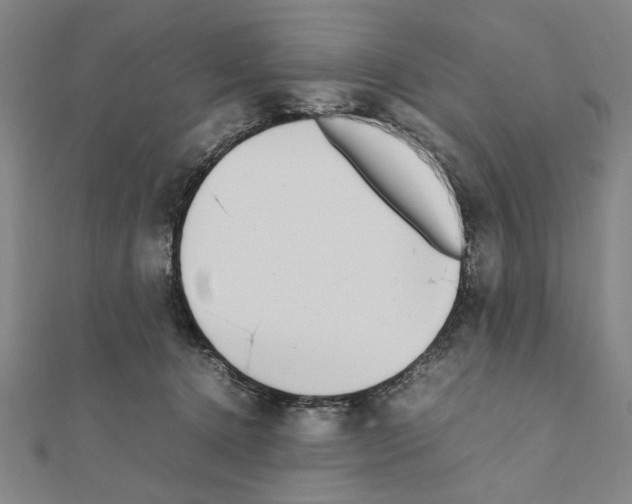 X0000111190368200908121053