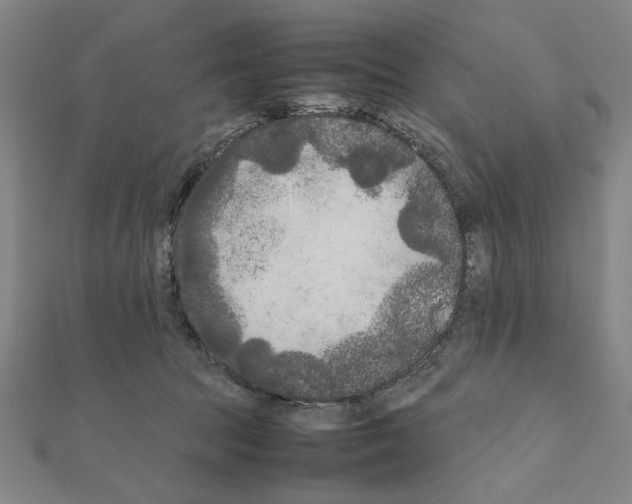 X0000111190369200908121053