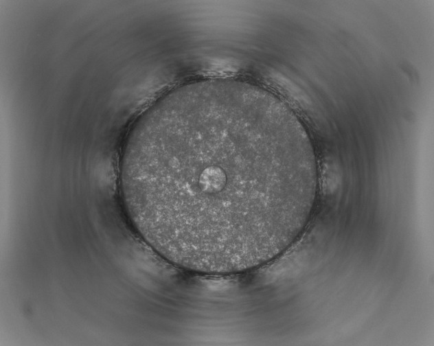 X0000111190370200908121053