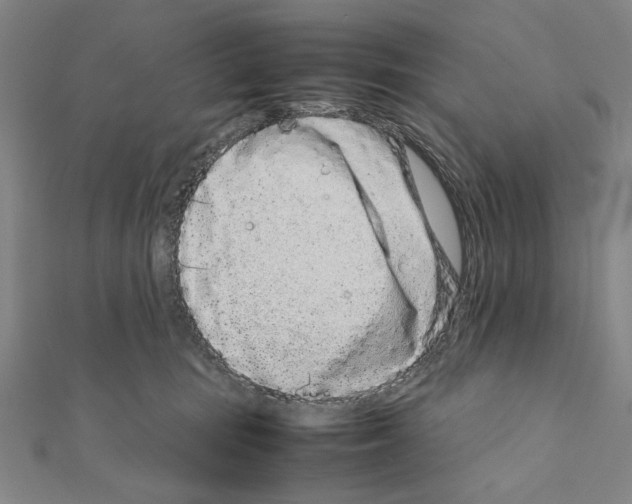 X0000111190371200908121053
