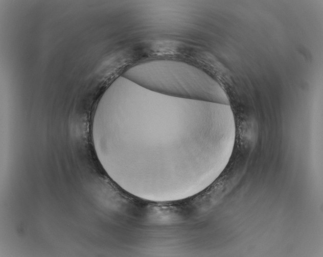 X0000111190372200908121053