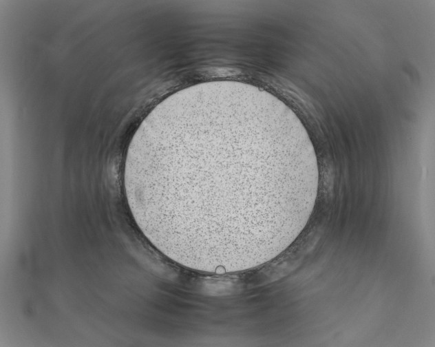 X0000111190373200908121053