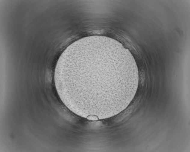 X0000111190374200908121053