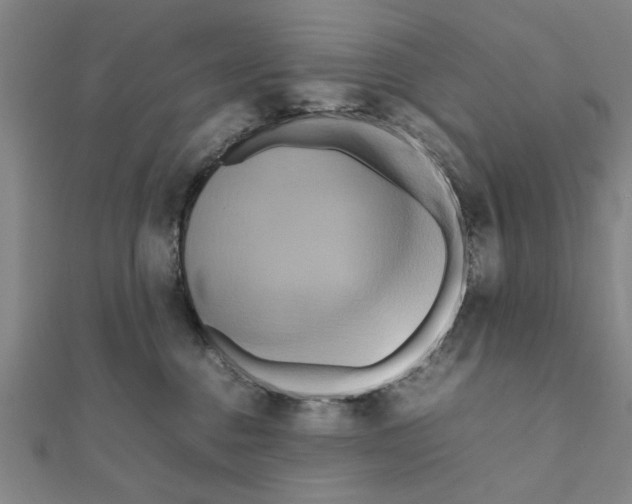 X0000111190376200908121053