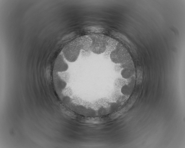 X0000111190377200908121053